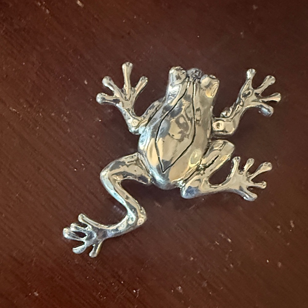 FROG Silvertone, necklace pendant super cute excellent condition